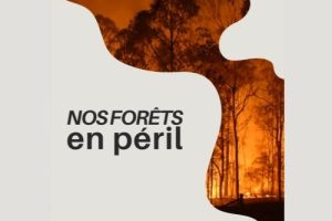 2026 councours d'Eloque (1)