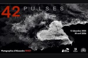 42 PULSES ALEXANDRE PENOT