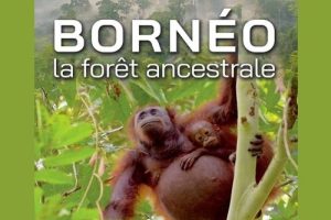 Borneo