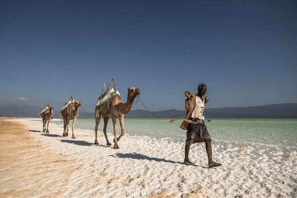 DJIBOUTI - TOURISMER ASSO