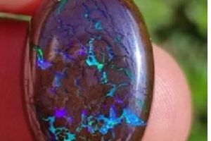 OPAL