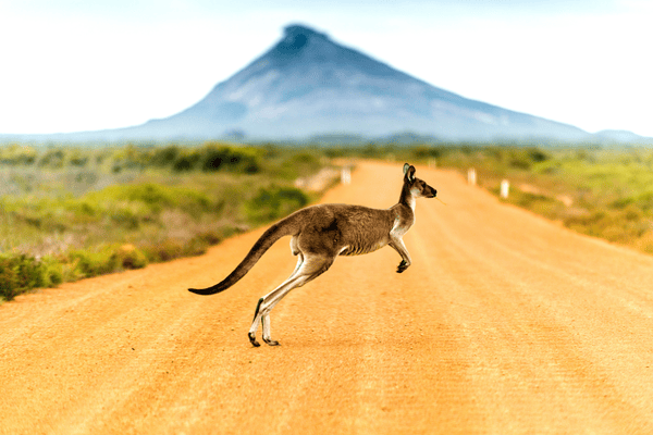 TOURISMER ASSO - AUSTRALIE