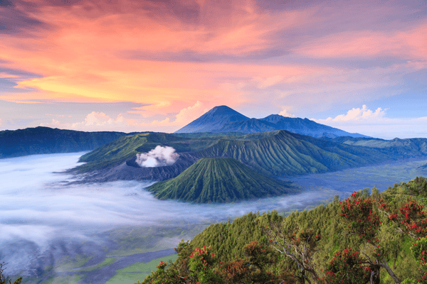 TOURISMER ASSO - INDONESIE