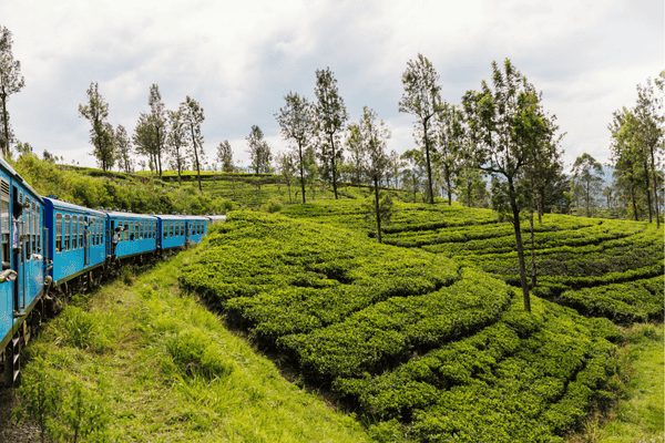 TOURISMER ASSO - SRI LANKA