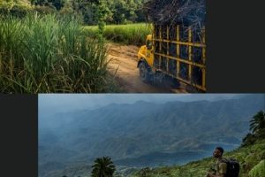 Tanzanie, Le monde perdu d’Udzungwa (1)