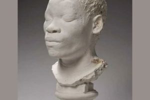 collection Froberville